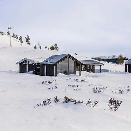 Architect Drawn Near Rondane Park Hovringen