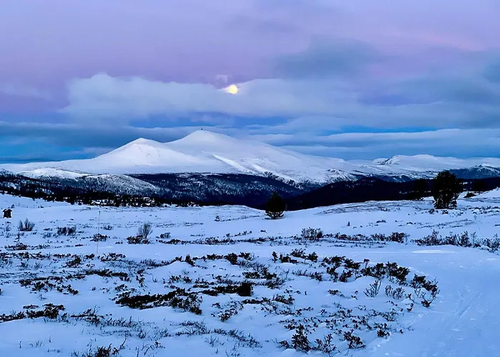 Architect Drawn Near Rondane Park Hovringen
