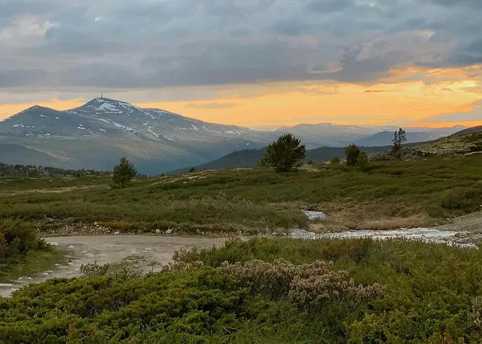 Architect Drawn Near Rondane Park * Hovringen