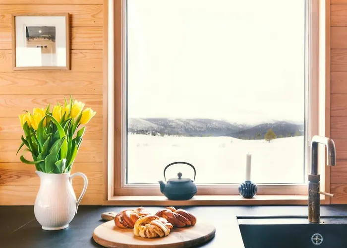 Architect Drawn Near Rondane Park Hovringen