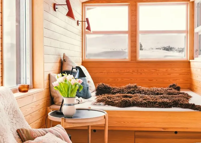 Architect Drawn Near Rondane Park Hovringen