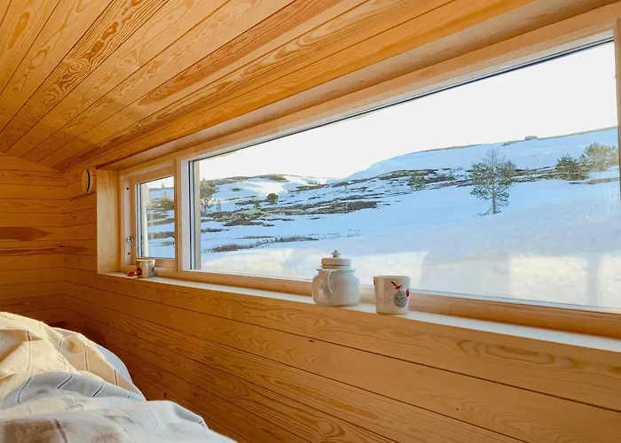 度假居 Architect Drawn Near Rondane Park 霍夫灵恩