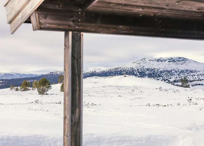 Architect Drawn Near Rondane Park