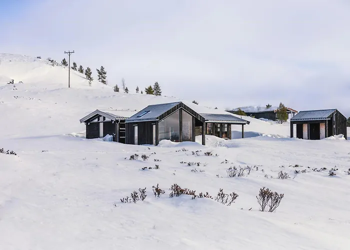 Architect Drawn Near Rondane Park Hovringen