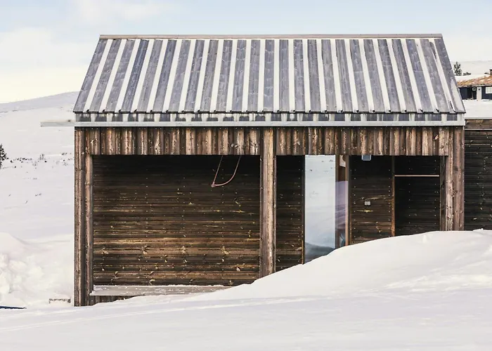 Architect Drawn Near Rondane Park *