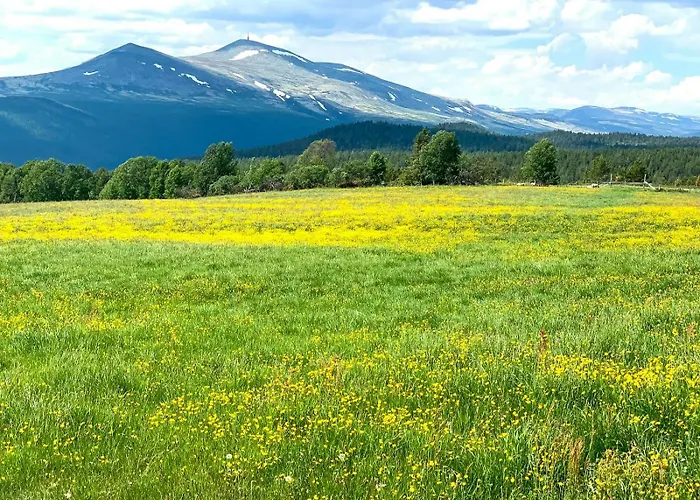 Architect Drawn Near Rondane Park Дом отдыха *